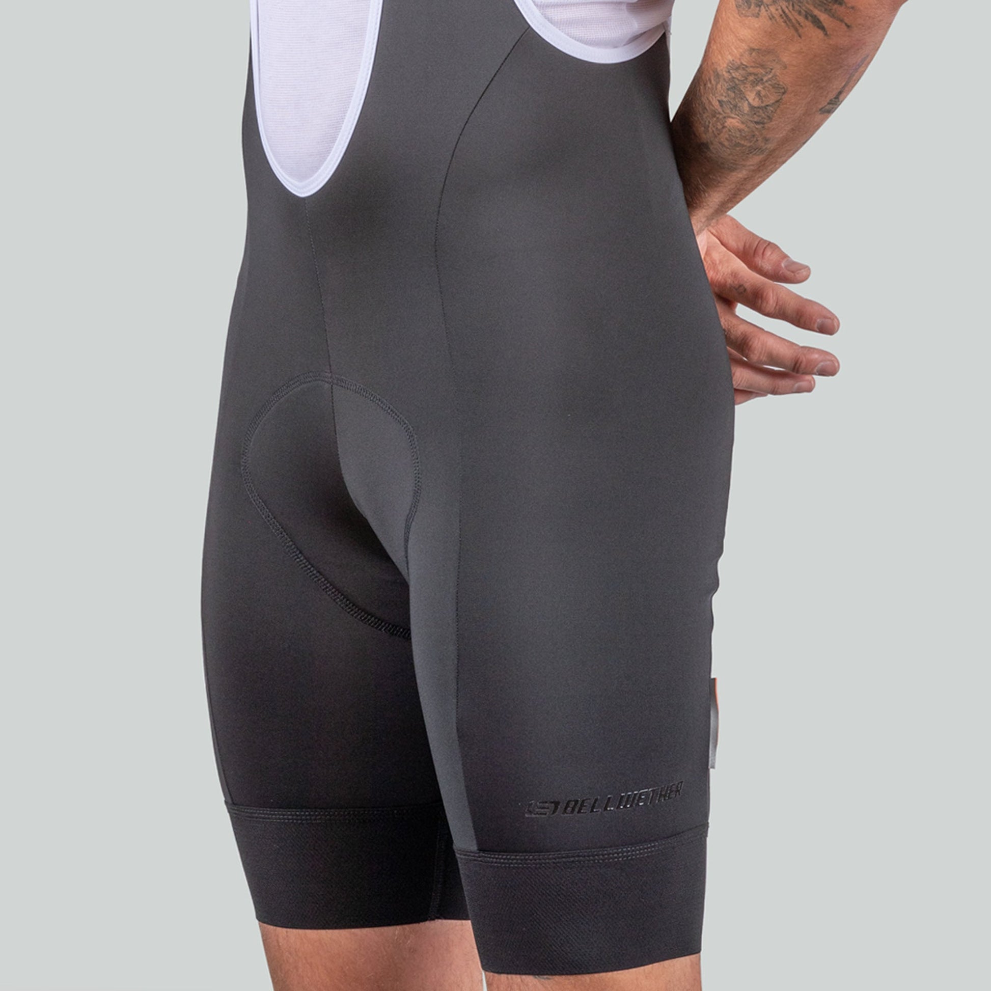Newton Bib - Bellwether Clothing