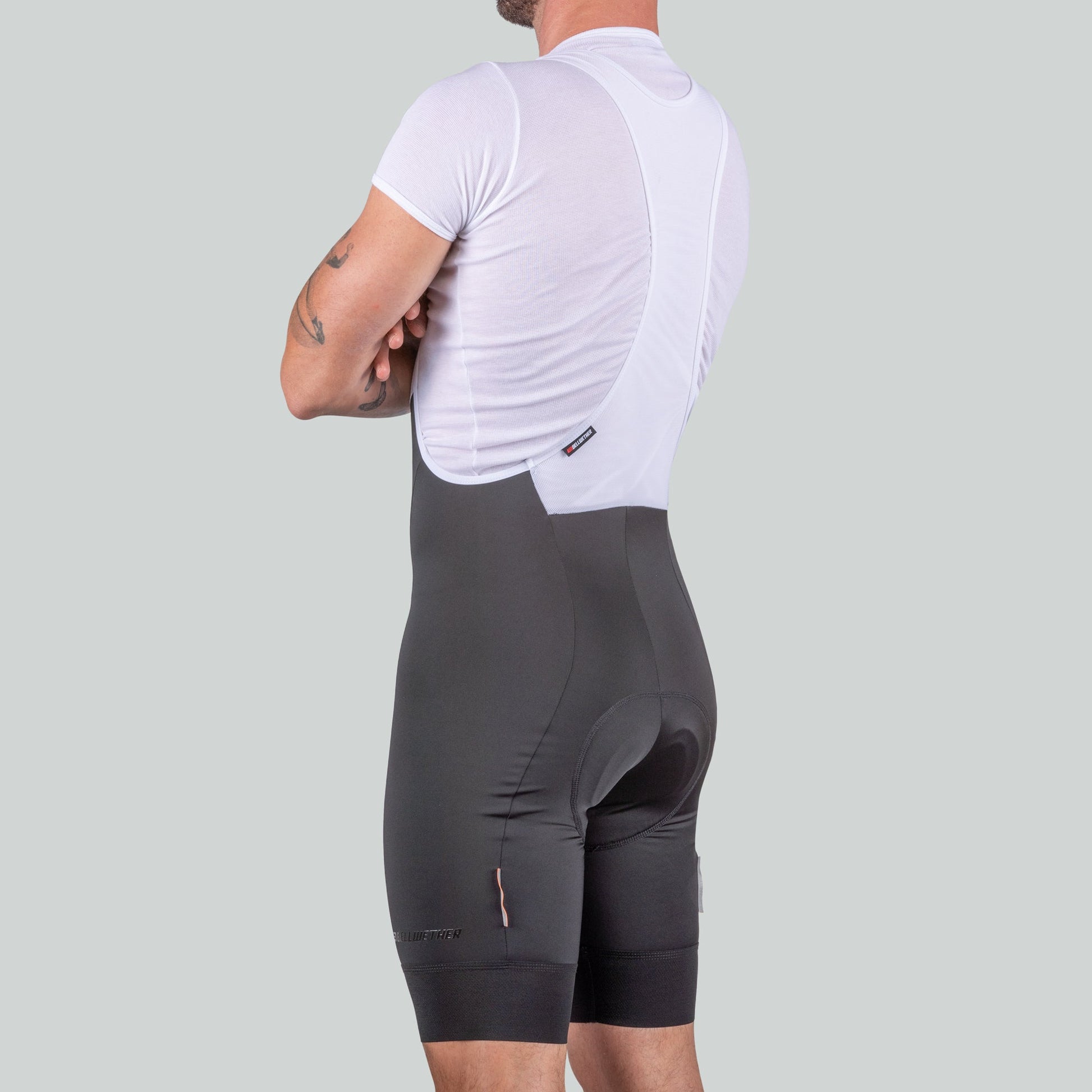 Newton Bib - Bellwether Clothing